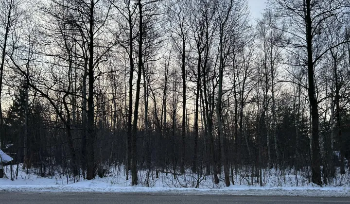 Działka budowlana Baszkówka, ul. Wierzbowa