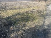 Działka rolna Łaziska. Zdjęcie 3