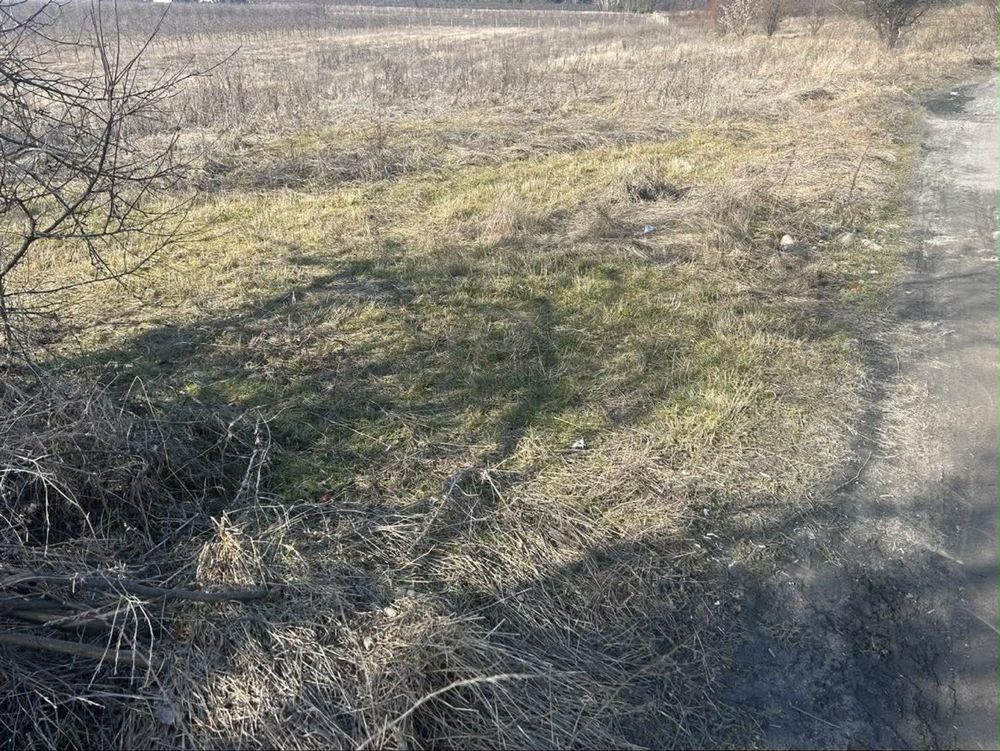 Działka rolna Łaziska. Zdjęcie 4