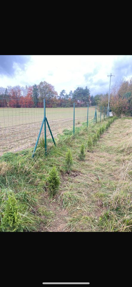 Działka budowlana Kunice, ul. Tadeusza Kościuszki. Zdjęcie 2
