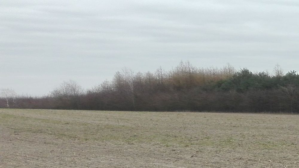 Działka budowlana Zawada. Zdjęcie 2