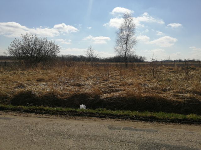 Działka budowlana Toporowice Dąbrowska, ul. Dąbrowska. Zdjęcie 1