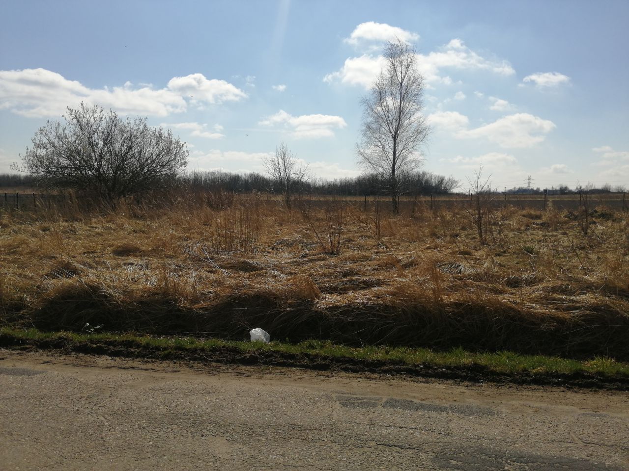 Działka budowlana Toporowice Dąbrowska, ul. Dąbrowska