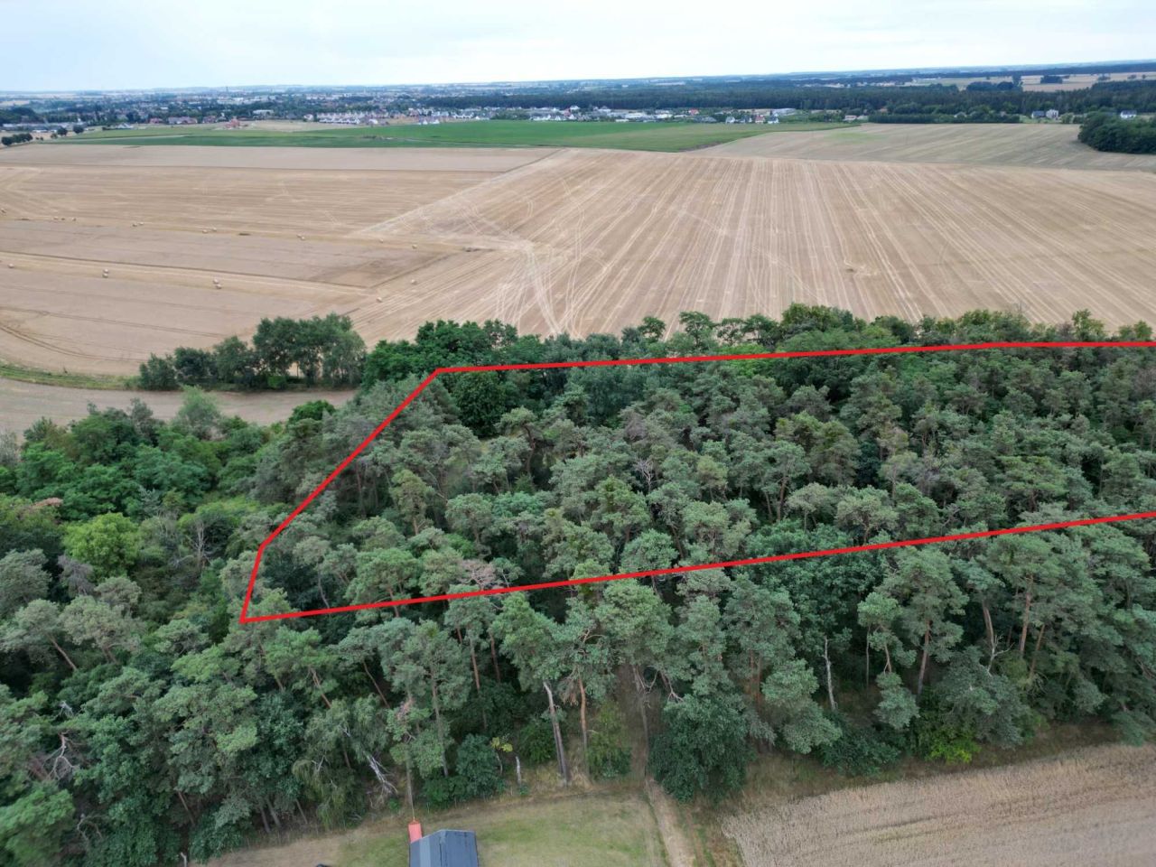 Działka budowlana Psarskie. Zdjęcie 6