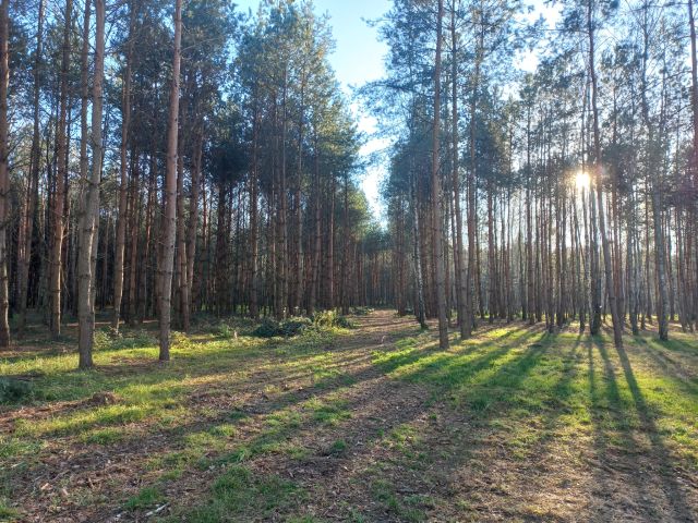 Działka budowlana Zbydniów, ul. Konwaliowa. Zdjęcie 1