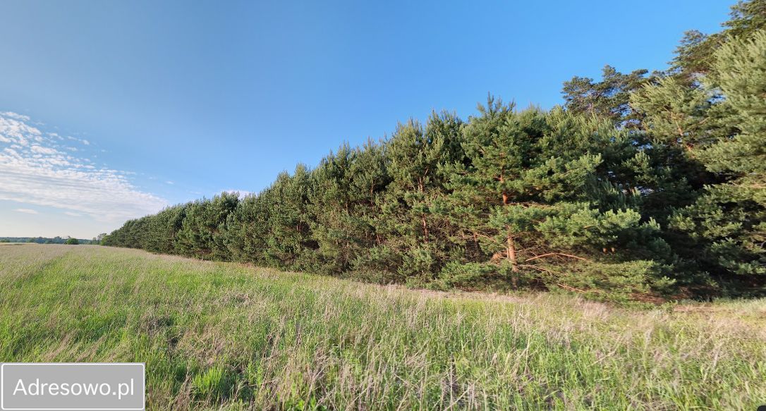 Działka inwestycyjna Słopsk, ul. Kolonijna. Zdjęcie 4