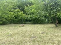 Działka rod Wrocław Księże Małe, ul. Cieszyńska. Zdjęcie 3