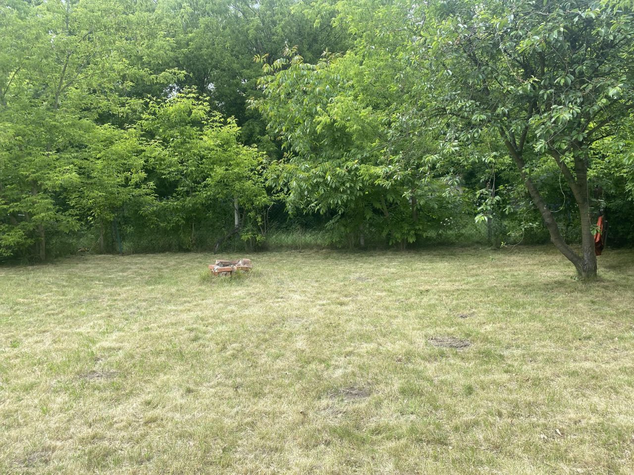 Działka rod Wrocław Księże Małe, ul. Cieszyńska. Zdjęcie 4