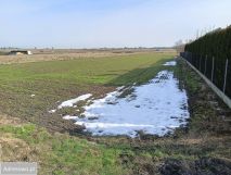 Działka budowlana Adamów, ul. Polna. Zdjęcie 1