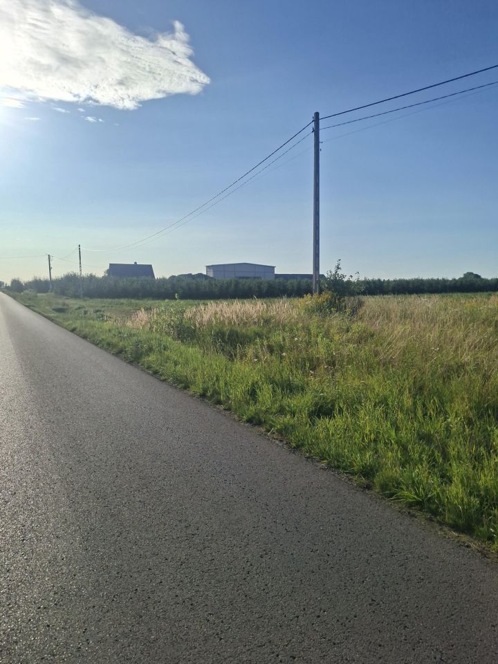 Działka rolna Stefanków. Zdjęcie 4