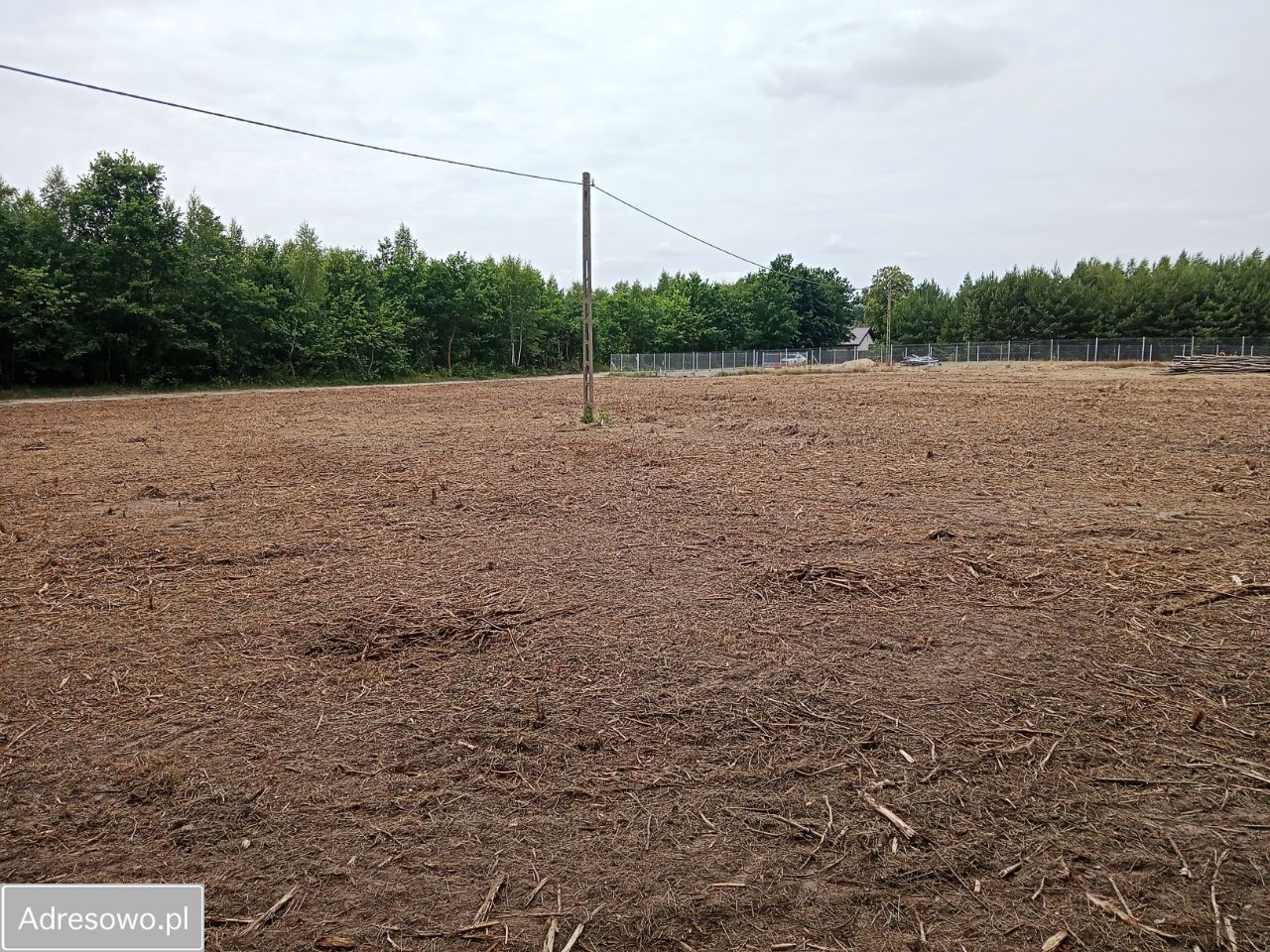 Działka rolna Płock Budy Dolne, ul. Jordanowska. Zdjęcie 4