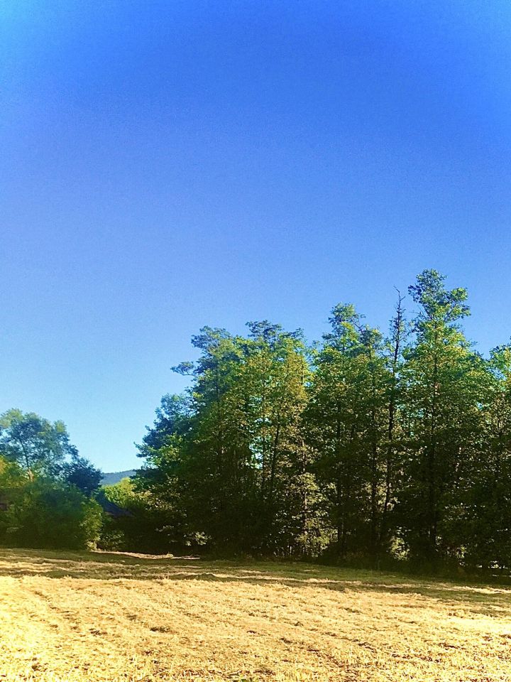 Działka budowlana Brenna Spalona, ul. Wierzbowa. Zdjęcie 3