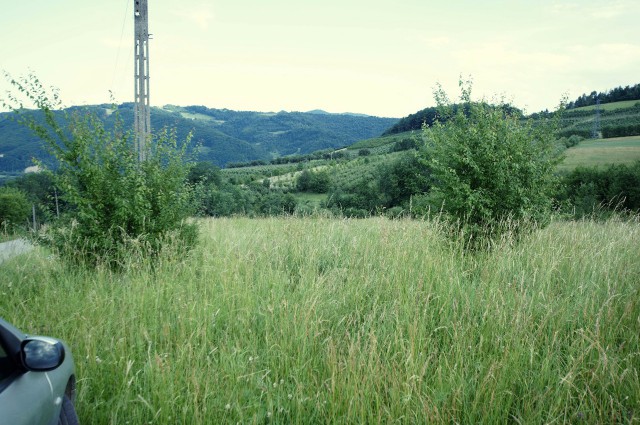 Działka rolna Czerniec Borki. Zdjęcie 1