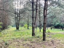 Działka budowlana Anielin. Zdjęcie 2