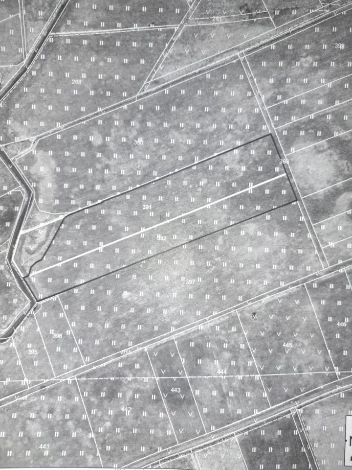 Działka rolna Wroczyńszczyzna. Zdjęcie 2