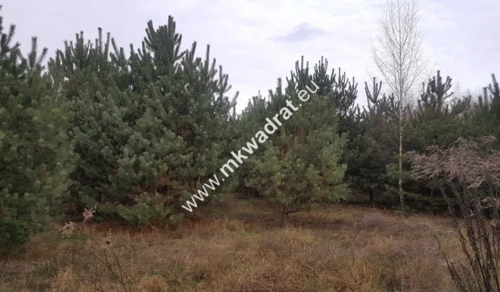 Działka budowlana Osowiec