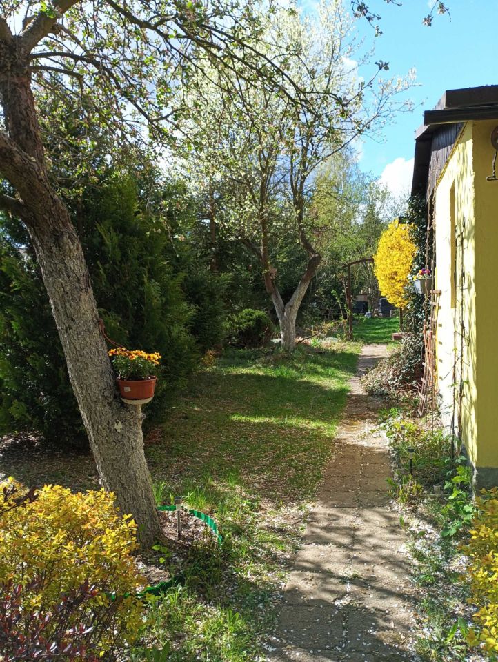 Działka rod Toruń. Zdjęcie 7