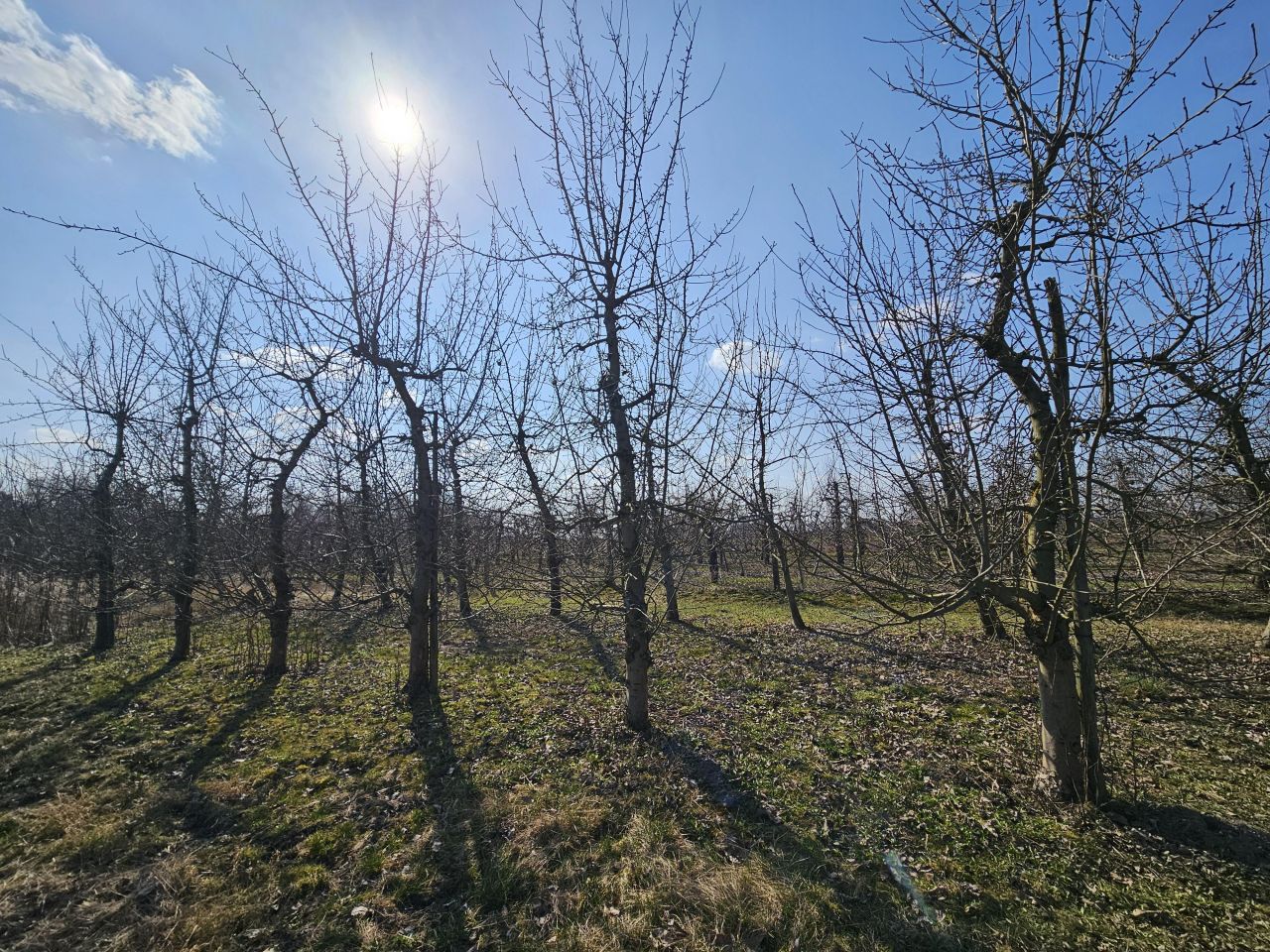 Działka budowlana Barcice Drwalewskie. Zdjęcie 6