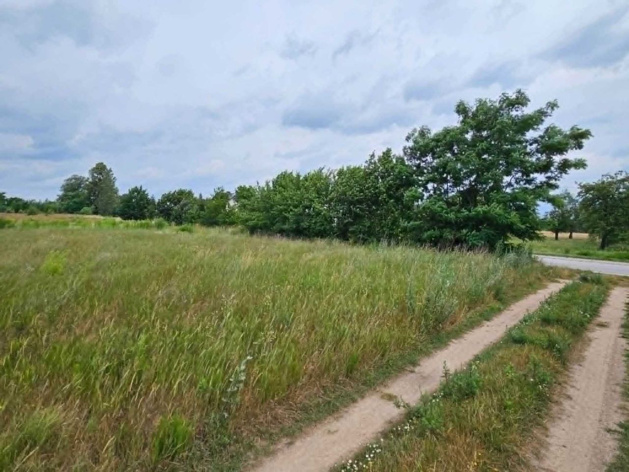 Działka budowlana Jastrząb. Zdjęcie 1