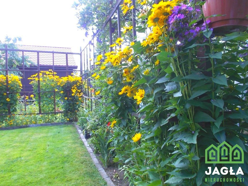 Działka rekreacyjna Borówno