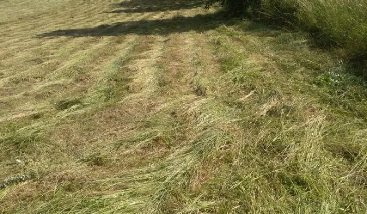 Działka budowlana Tyczyn