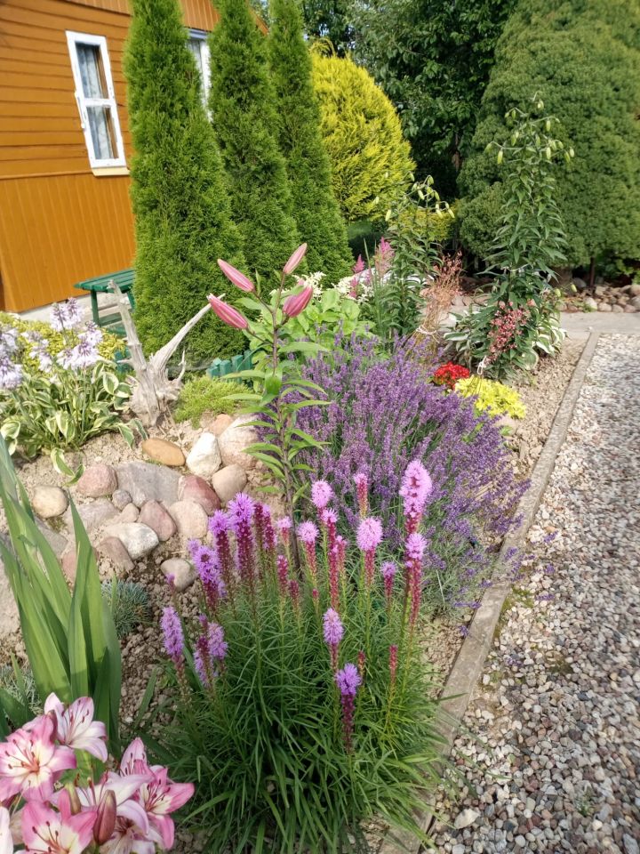 Działka rod Franciszków, ul. Szeroka. Zdjęcie 5