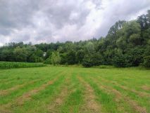 Działka rolna Kamyk. Zdjęcie 2