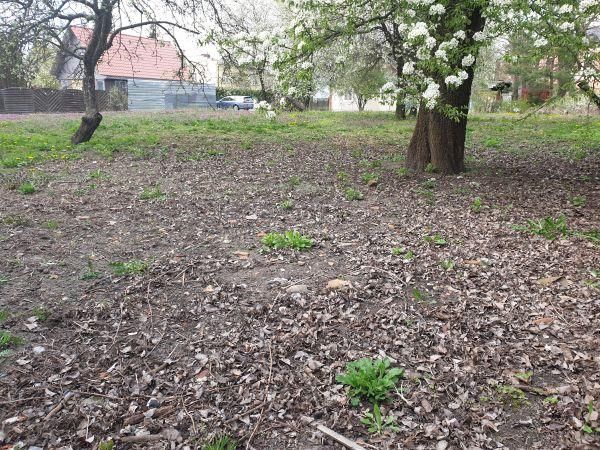 Działka budowlana Zamość, ul. Zakamarek. Zdjęcie 7
