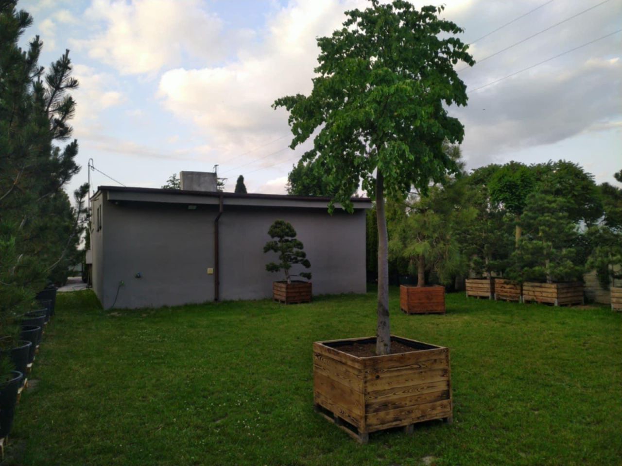Działka inna Kawęczyn. Zdjęcie 9