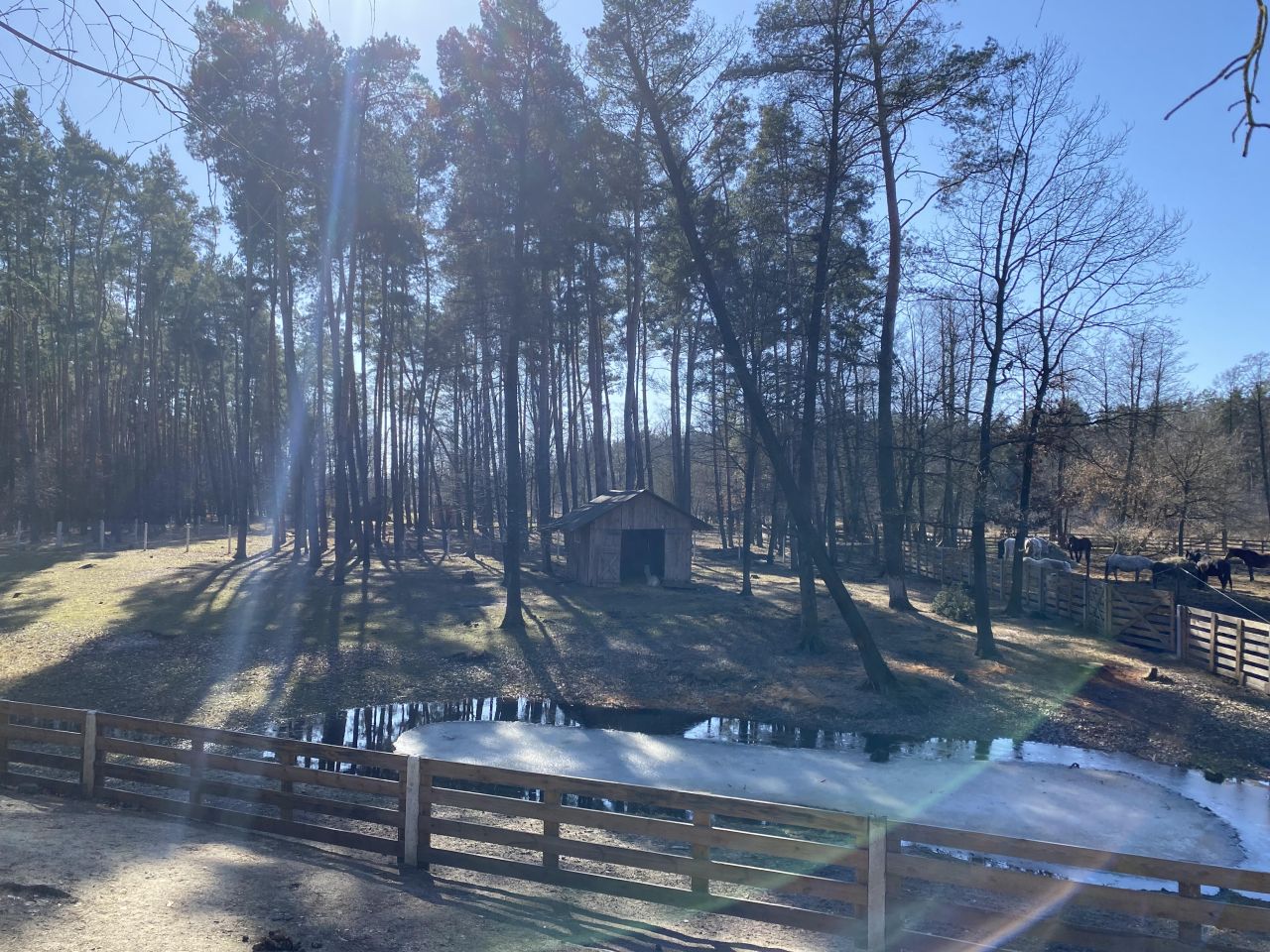 Działka budowlana Kaliska. Zdjęcie 9