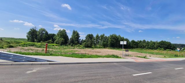 Działka budowlana Górzyn. Zdjęcie 1