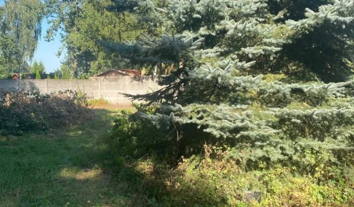 Działka budowlana Szamotuły