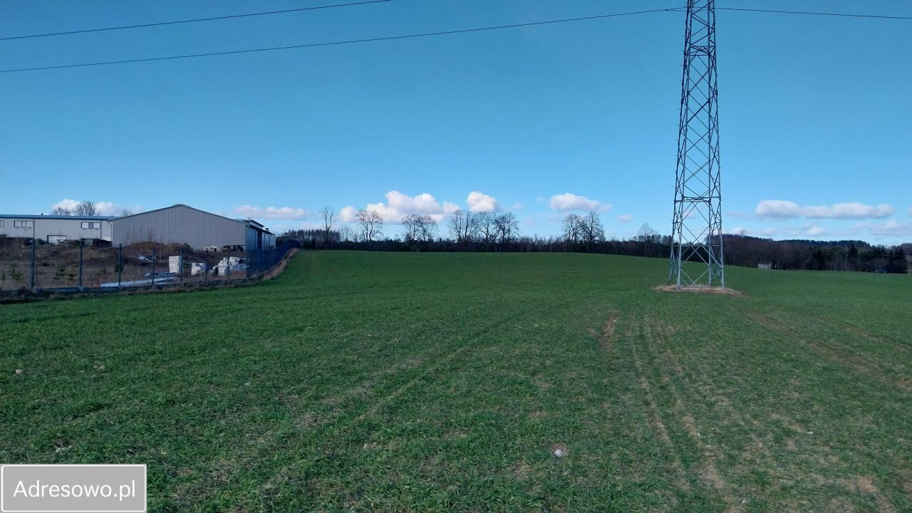 Działka inwestycyjna Mały Klincz. Zdjęcie 4