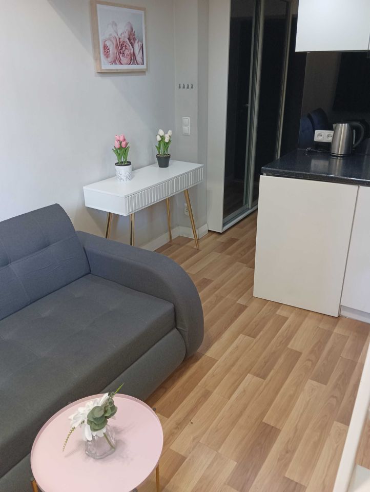 Mieszkanie 1-pokojowe Szczecin Śródmieście. Zdjęcie 3