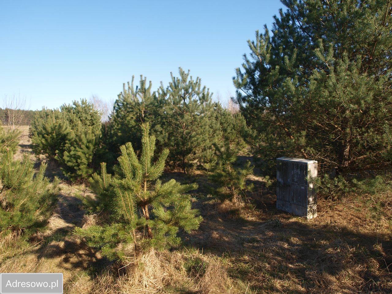 Działka rekreacyjna Lipy. Zdjęcie 8