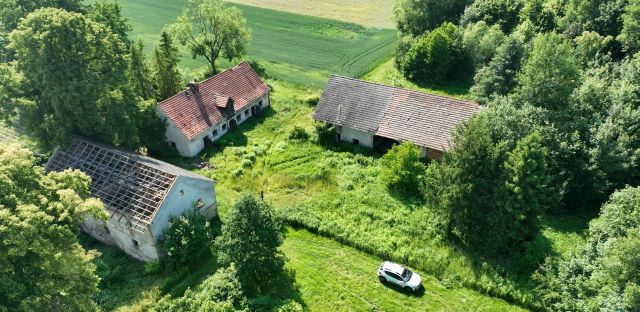 Działka siedliskowa Siekierowice. Zdjęcie 1