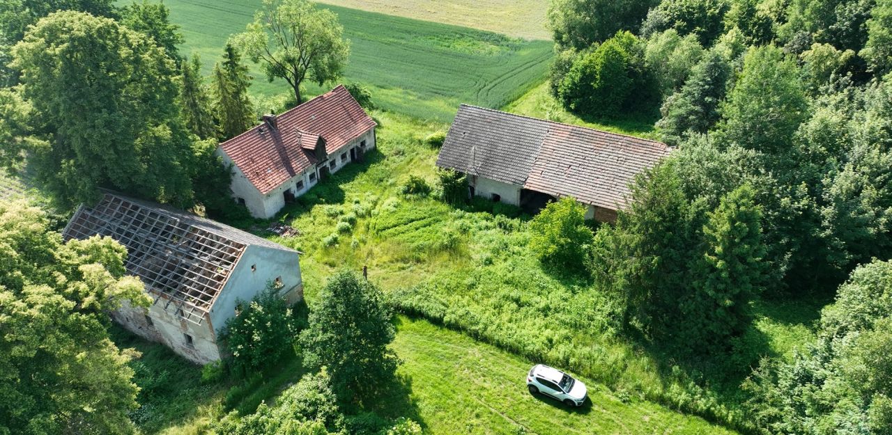 Działka siedliskowa Siekierowice. Zdjęcie 1
