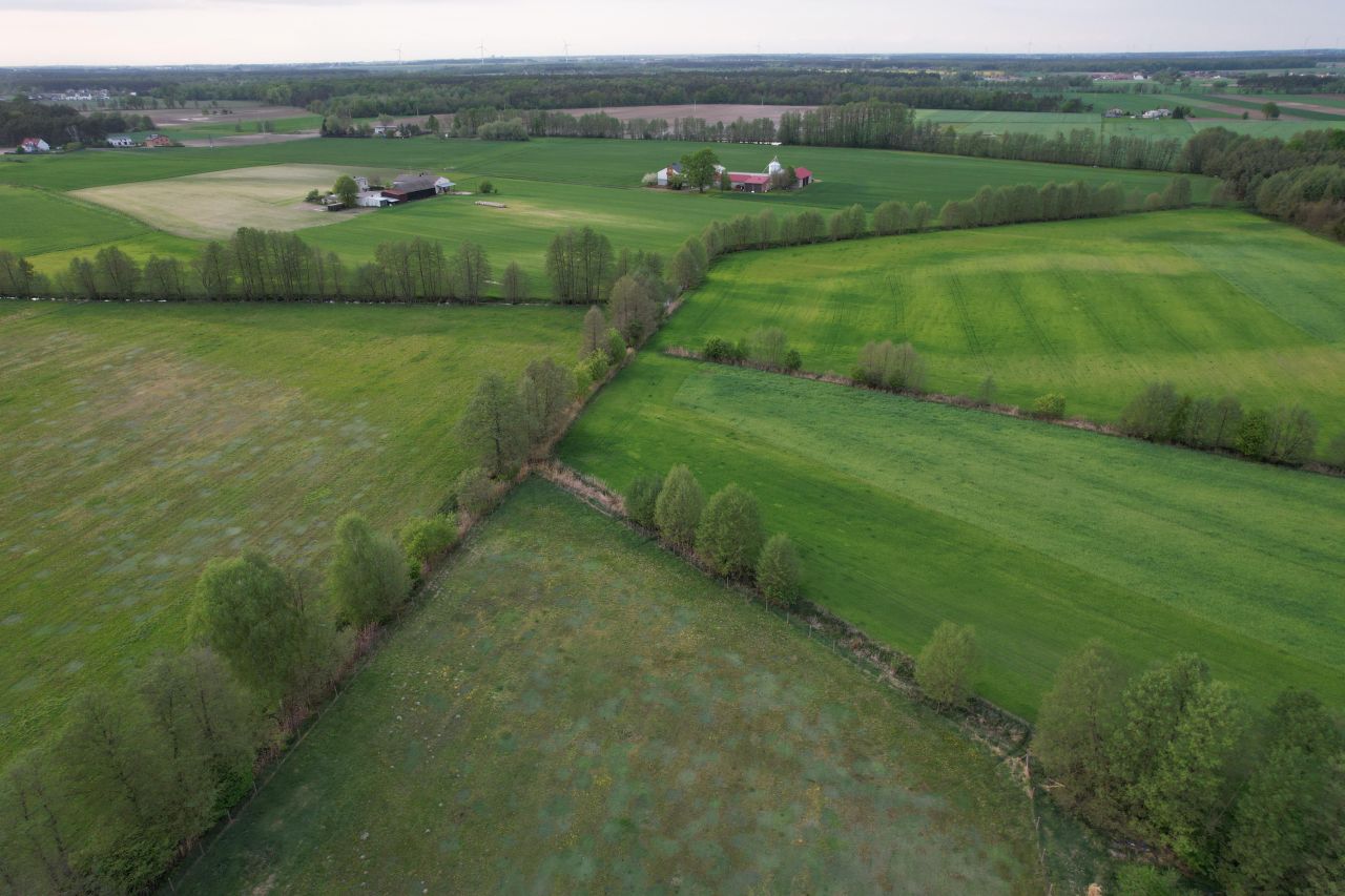 Działka budowlana Bogusławki, ul. Leśna. Zdjęcie 7