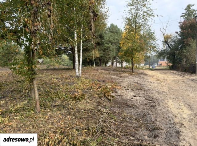 Działka budowlana Kąck, ul. Jagodowa. Zdjęcie 1