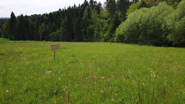 Działka budowlana Nowy Sącz Chełmiec, ul. Librantowska. Zdjęcie 1