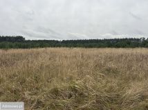 Działka budowlana Gliwice Ostropa. Zdjęcie 1