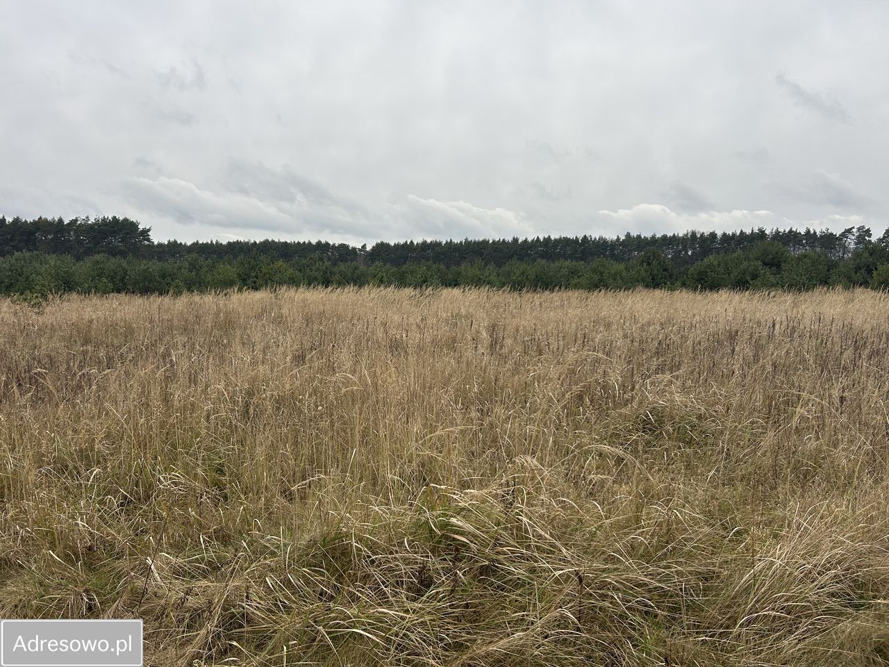 Działka budowlana Gliwice Ostropa. Zdjęcie 2