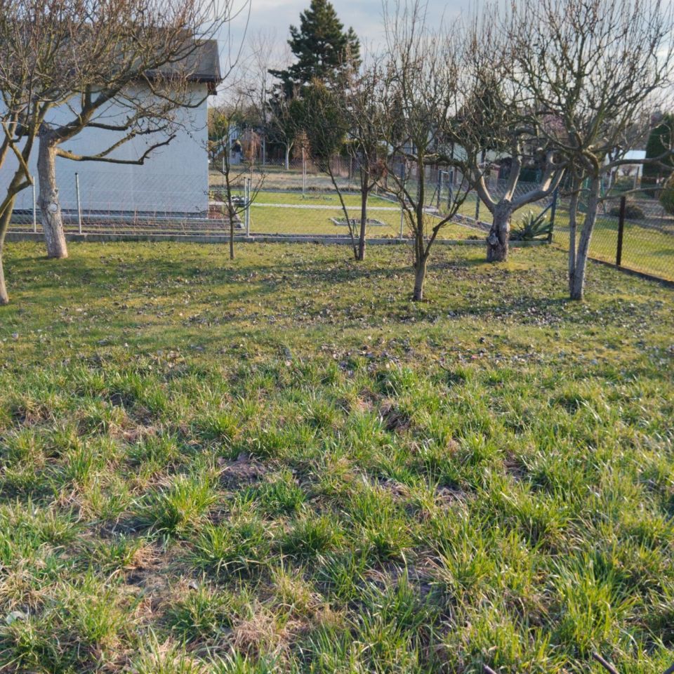 Działka rod Łask. Zdjęcie 2