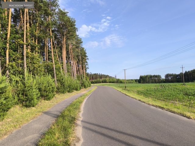 Działka rolna Rojewo. Zdjęcie 2