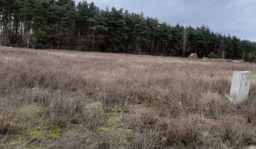 Działka inwestycyjna Bożenkowo