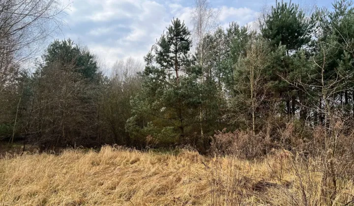 Działka rolno-budowlana Osowiec, ul. Łanowa