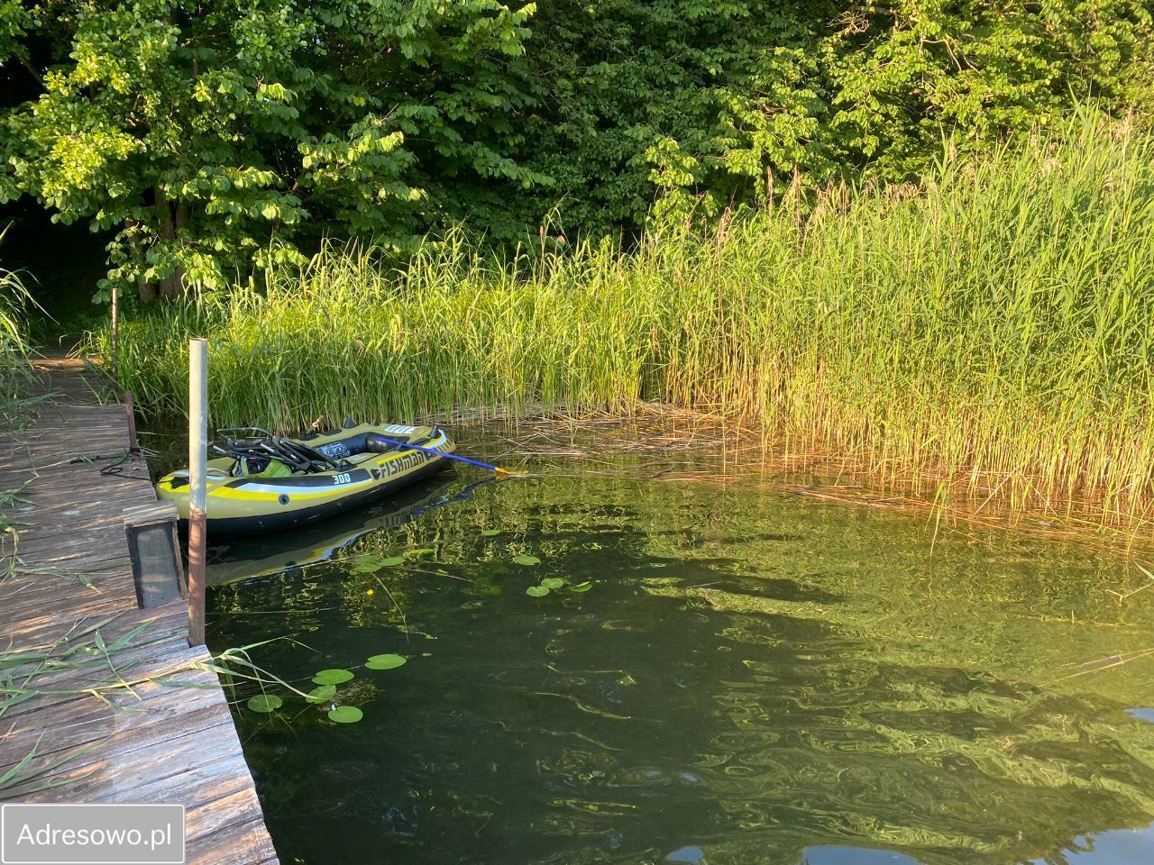 Działka rekreacyjna Stężyca. Zdjęcie 19