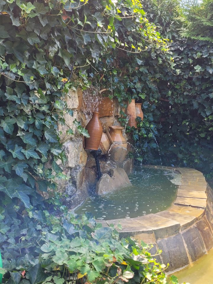 Działka rod Kulów. Zdjęcie 4