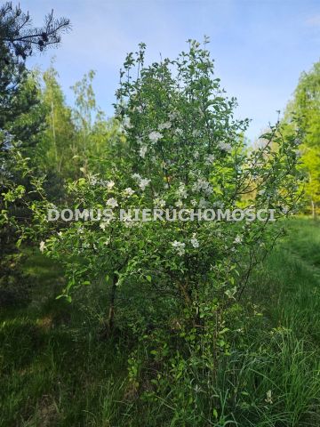 Działka budowlana Przanowice. Zdjęcie 6