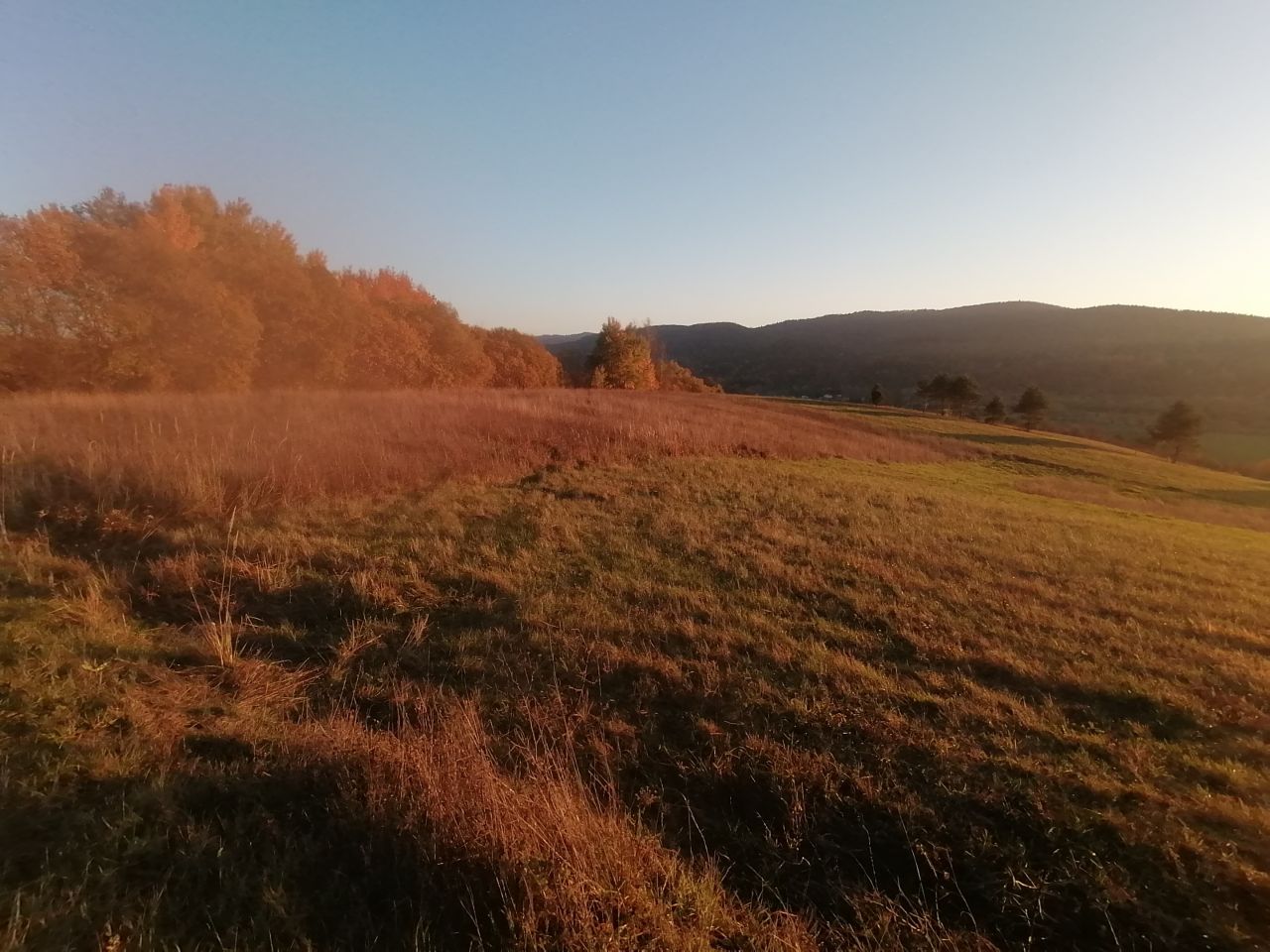 Działka rekreacyjna Rybotycze. Zdjęcie 3